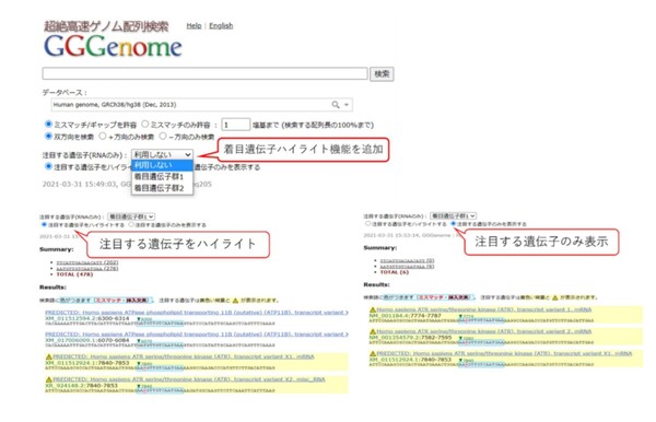レトリバの塩基配列検索ソフトウェア「GGGenomeパッケージ版」に「着目遺伝子ハイライト表示機能」を搭載した2021年度版、提供開始
